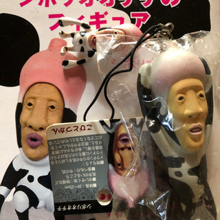 シボリオチチのフギィアの画像