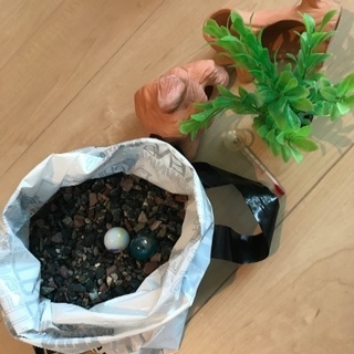 水槽の中のグッズ☆の画像