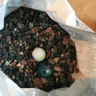 水槽の中のグッズ☆の画像