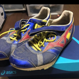 フィールドジオaj step限定色