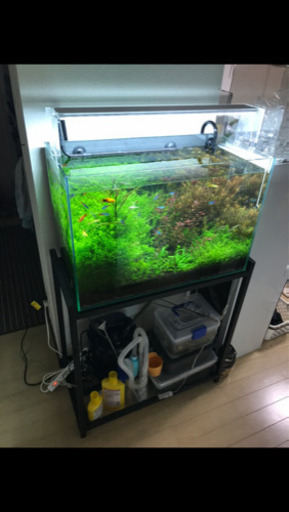 ADA   アクアスカイG601