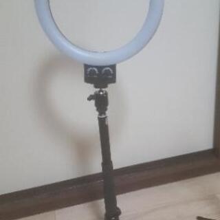 LED証明