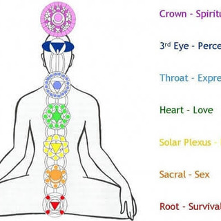 オンラインヨガ🧘🏻‍♀️