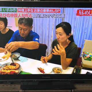 プラズマテレビ VIERA TH-P42VT3 動作品
