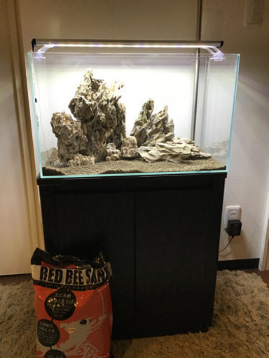 GW限定水槽セット