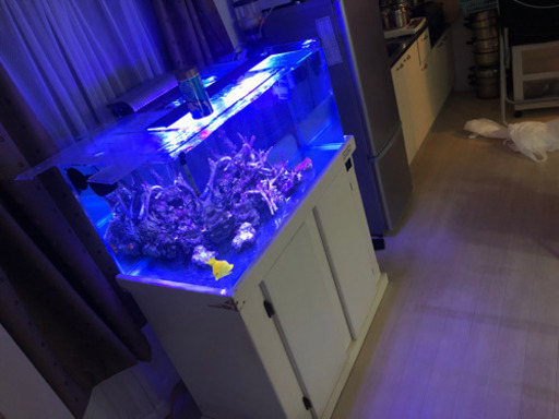 90cm水槽フルセット