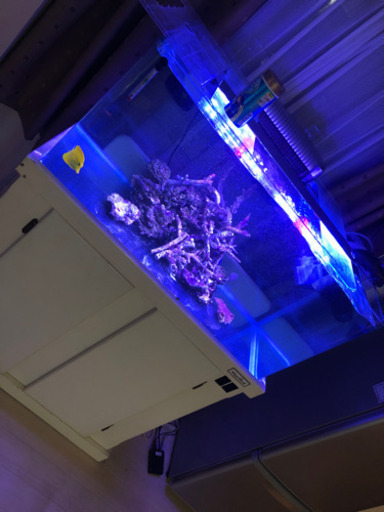 90cm水槽フルセット