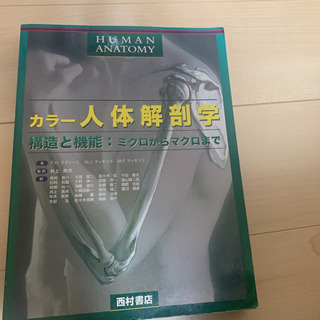 DeAGOSTINI Human Body全号 カラー人体解剖学　セットの画像