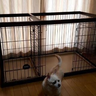 犬用ケージ