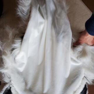 ホワイトタイガー　壁飾り　白　トラ　虎　寅の画像