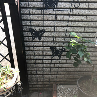 お話中  トレリス  ツル植物の誘引や支柱に 2枚セット