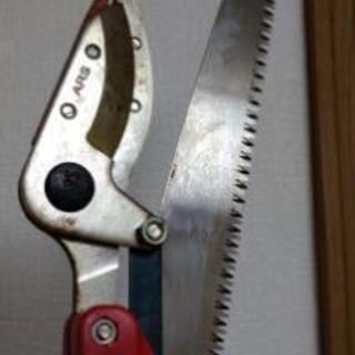 高枝切り鋏の画像