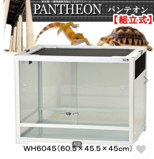 爬虫類  飼育ゲージ