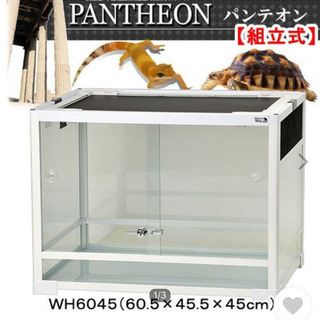 爬虫類ケース 寝屋川まで取りに来ていただける方