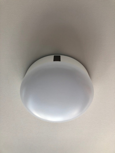 【ポップインアラジン: 中古】