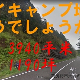 マイキャンプ地にいかが？　南房総市の山林　５０万円 - 南房総市