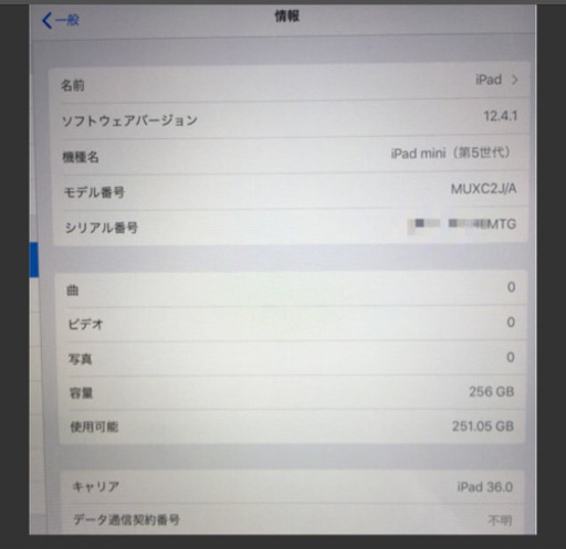 iPad mini5 256GB WiFi＋Celler SIMフリー スペースグレー