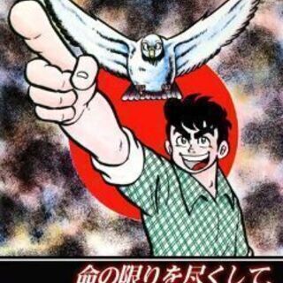  ジュジュカケ鳩雛産まれました。