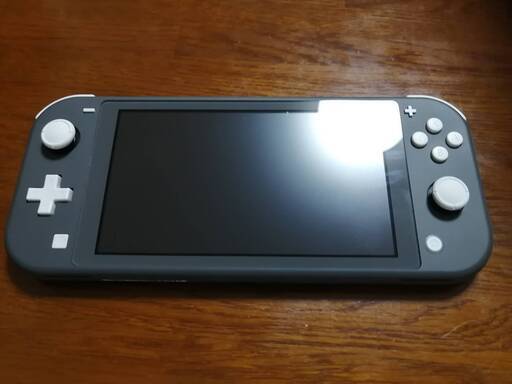 任天堂Switchlite（グレー）＆あつまれどうぶつの森