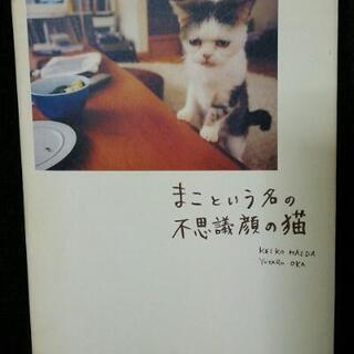 【まこという名の不思議顔の猫 】