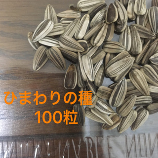 【交換・郵送可】ひまわりの種　100粒