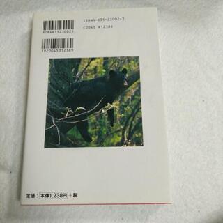 山でクマに会う方法の画像