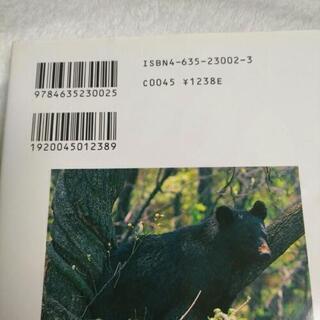 山でクマに会う方法の画像