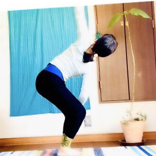 いつでもどこでも誰でもオンラインでヨガYOGAの画像