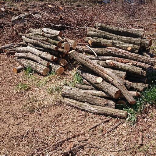 ナラ薪用  残りわずかになりました。