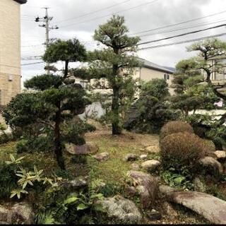 草刈り、木伐採、脱根、お庭をキレイに🌈✨✨ - 地元のお店