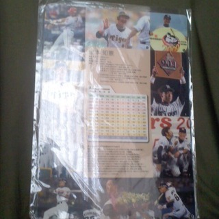 新品　未開封　金本知憲　現役時代　阪神　タイガース　下敷きの画像