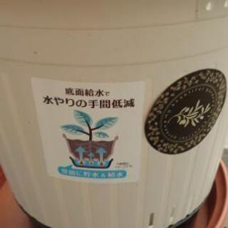 【受渡しお打合せ中】植木鉢、ジョウロ（中古品）　取りに来ていただける方に差し上げます。の画像