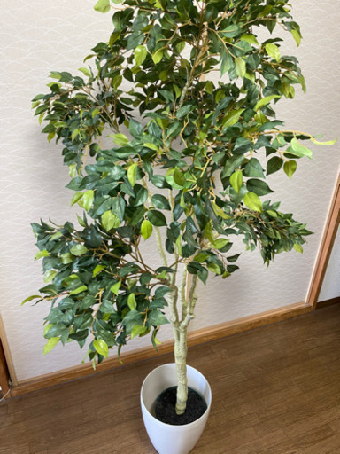 観葉植物　光触媒造花・フェイクグリーン