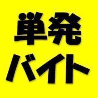 ５月の募集開始♪単発アルバイト（翌日払い可）宮崎市の画像