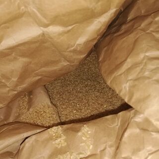 古々米　約10キロ