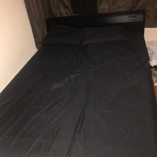 ダブルベット
