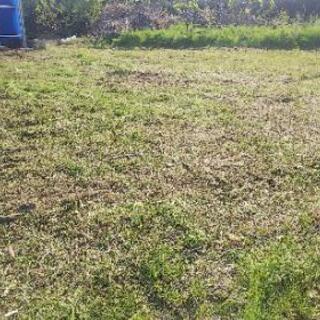 【熊谷市の便利屋】静かな草刈り、草むしり、除草剤散布、防草シート張りを承ります − 埼玉県