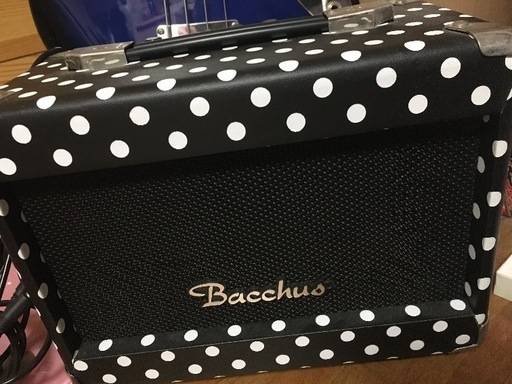ベース・アンプ・その他楽器ケースや換えの弦のセット