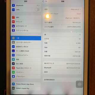 値下げ！iPad mini 5 wifi 256GB GOLD 