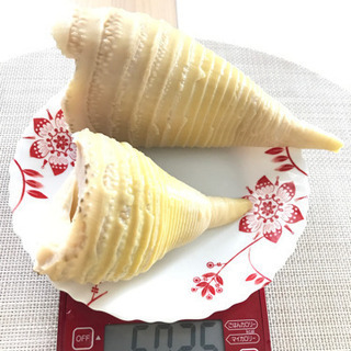 ※値下げ※たけのこ 筍 竹の子 新物 アク抜き済
