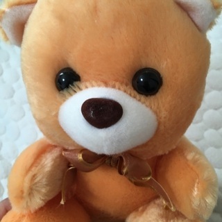 くまのぬいぐるみの画像
