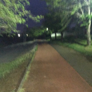 ウォーキング仲間募集 - 常総市
