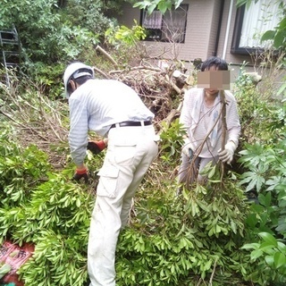庭木の剪定いたします