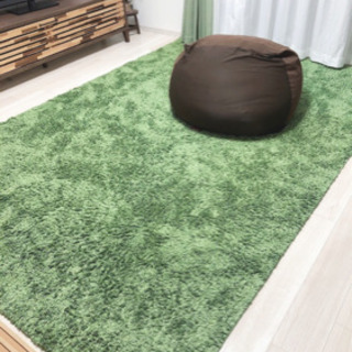 ニトリ　アクセントラグ　カーペット