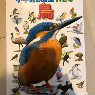 小学館の図鑑NEO