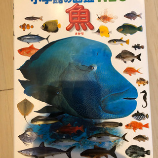 小学館の図鑑NEOの画像