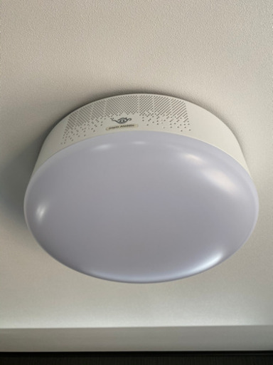 popIn Aladdin(ポッピンアラディン)