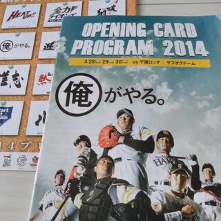 プロ野球春季キャンプ　鷹の祭典　配布冊子いろいろ