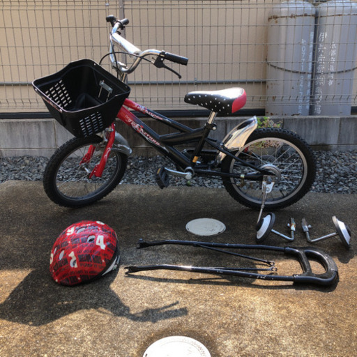 かな様専用 木塾宮川早生 3S〜2S 10キロ入り ショップ 23−1 温州