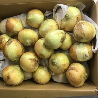 玉ねぎ